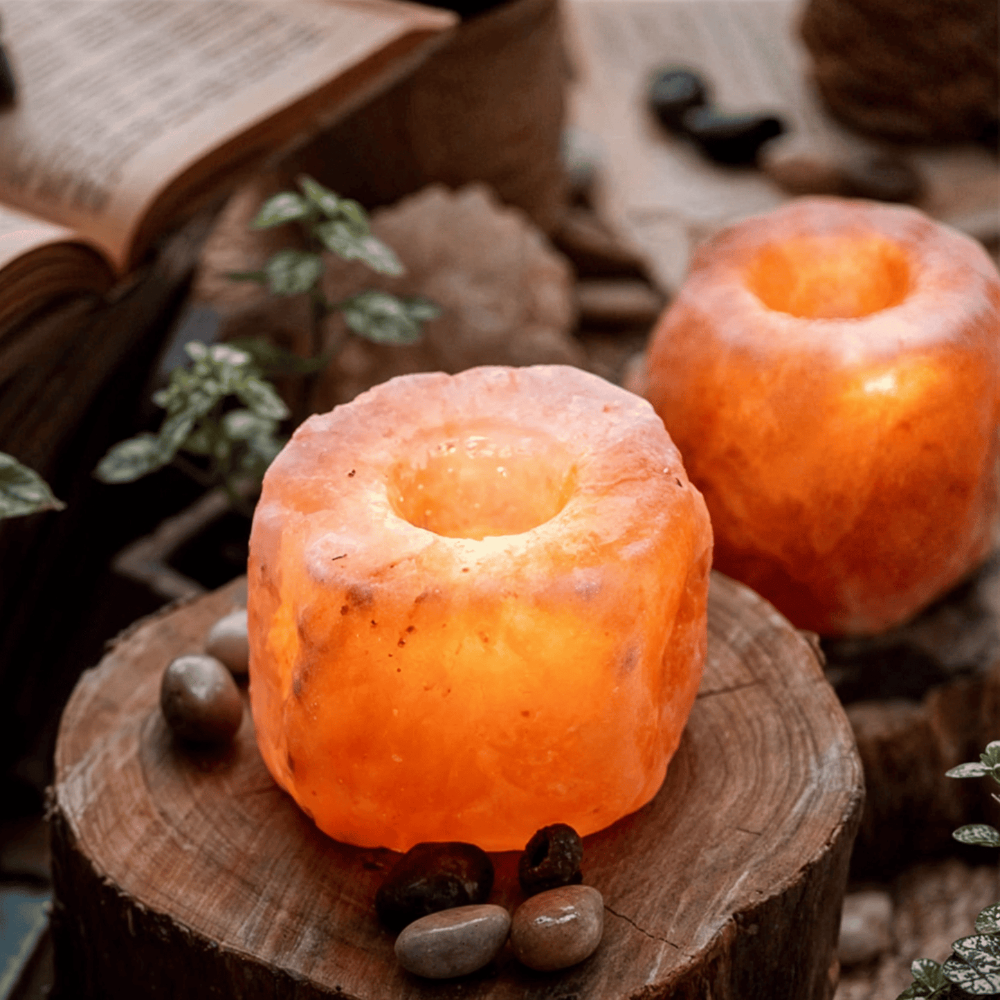 Essence - GlowNest Salt Candle Holder | Hand-Carved Himalayan Candle Holder - Essence